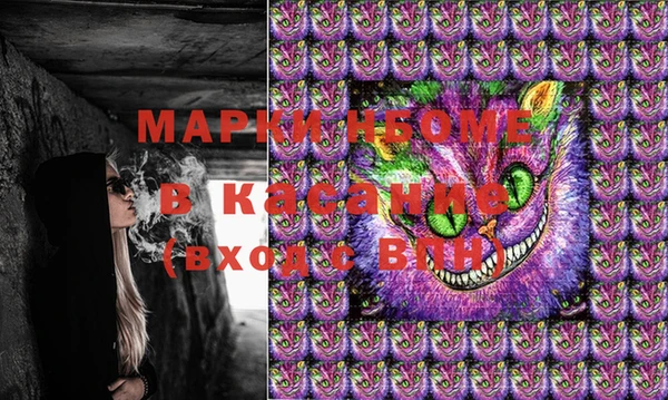 твердый Володарск