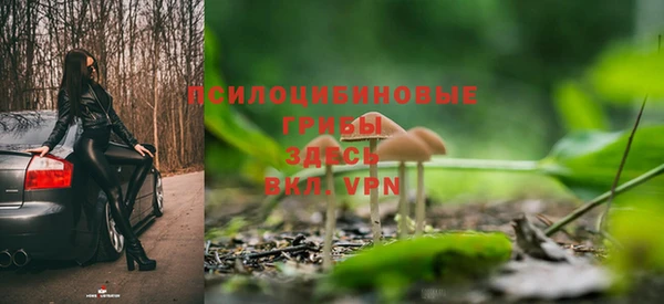 стафф Волоколамск