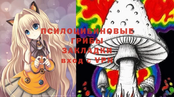 стафф Волоколамск