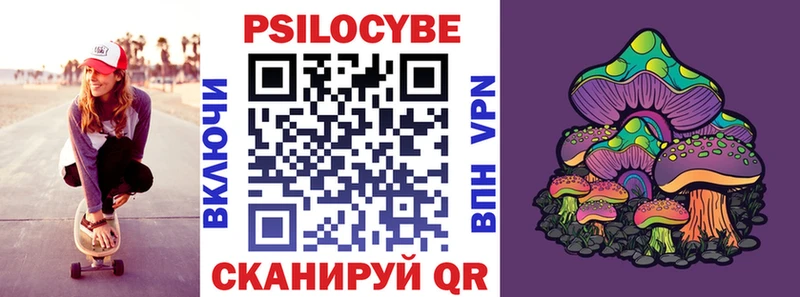 Псилоцибиновые грибы Psilocybe  Новоульяновск 